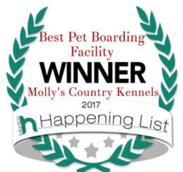 Best Pet Boarding Facility, Mollys Country Kennels, Happening List