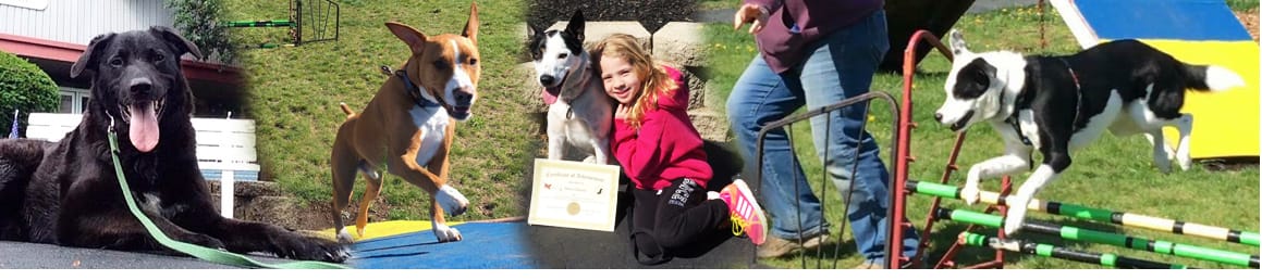 OUR TRAINING STAFF - Molly's Country Kennels