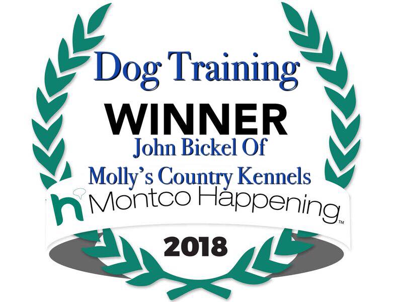 John Bickel Wins 2017 & 2018 Best Dog Trainer - Molly's Country