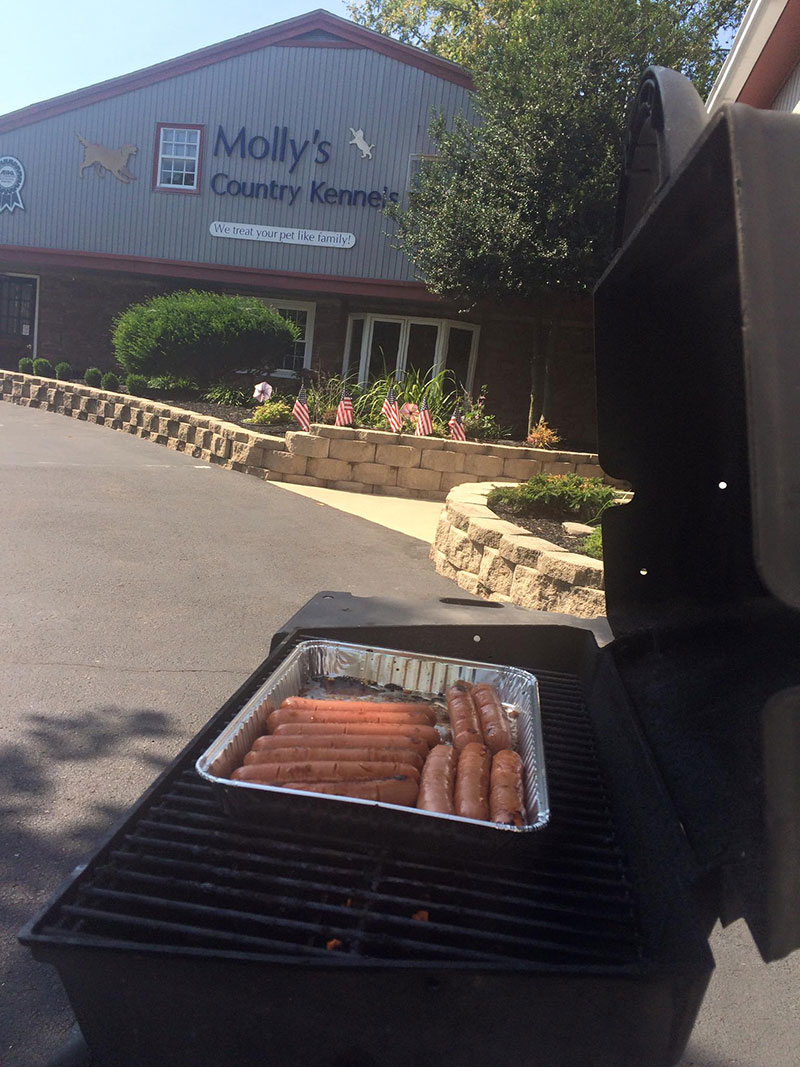 Mollys Country Kennels BBQ 3