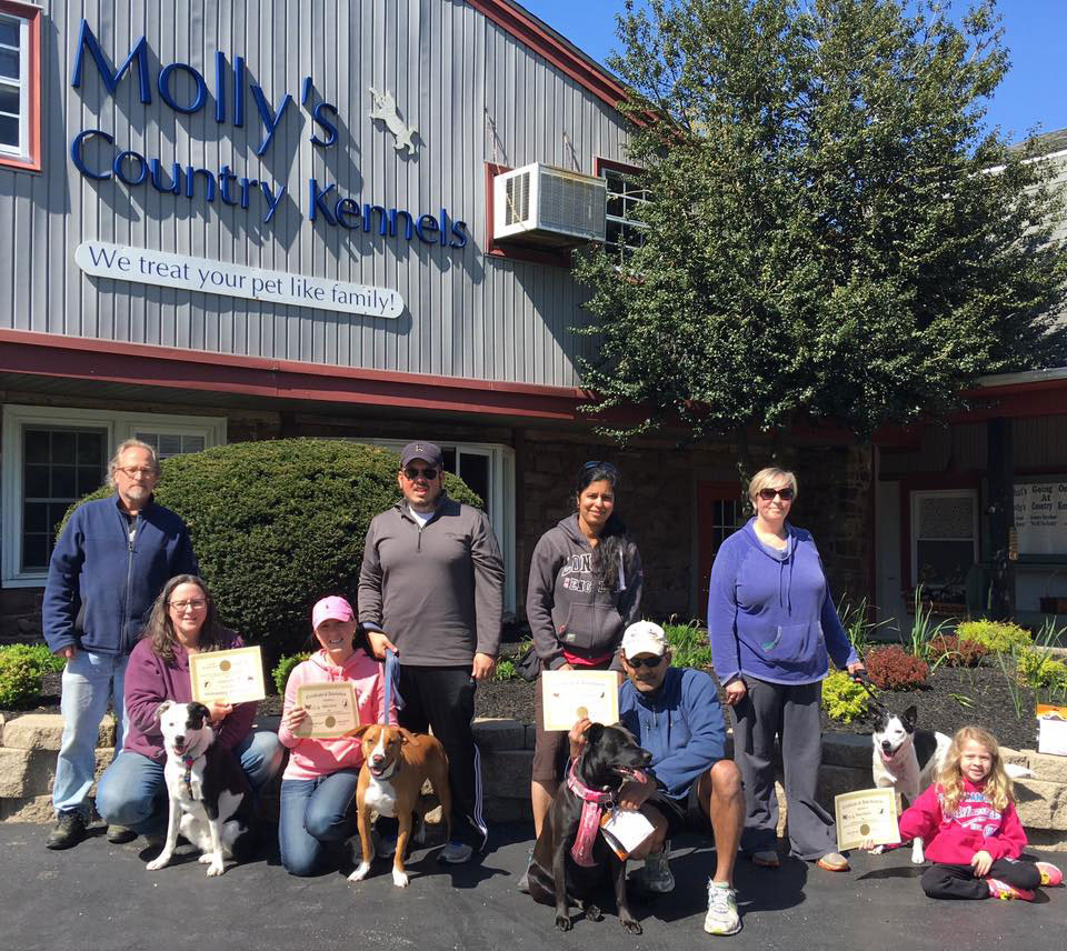 Mollys Country Kennels Obedience Training 3