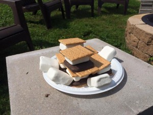 Mollys Country Kennels Pet Safe Smores 2
